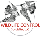 WildLife Control Specialists